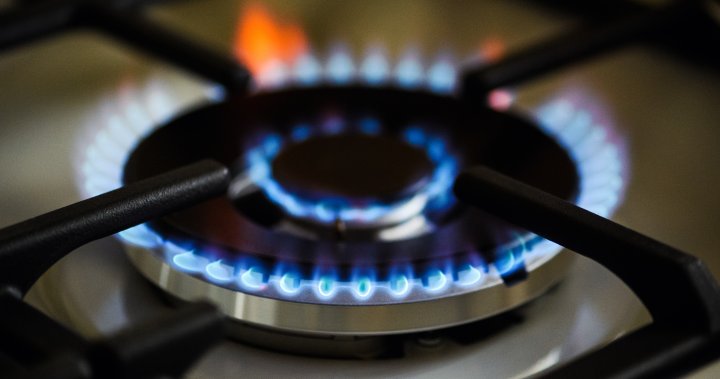 B.C. pediatrician questions new research linking gas stoves to childhood asthma