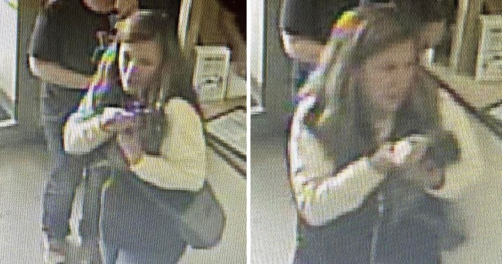 Raccoon euthanized after it was brought to Maine pet store for nail trim