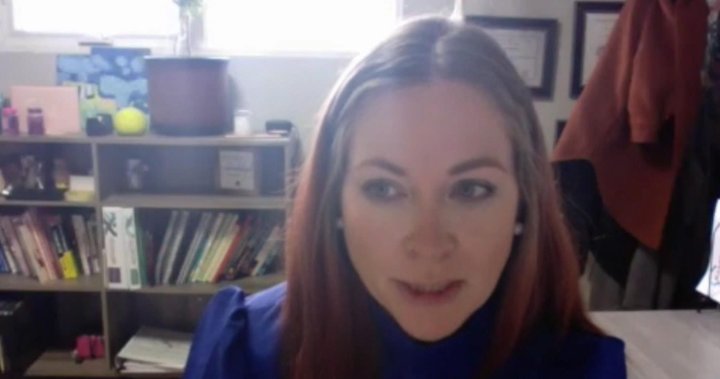 Saskatchewan sexual assault centres say they’re banned from schools, but shouldn’t be