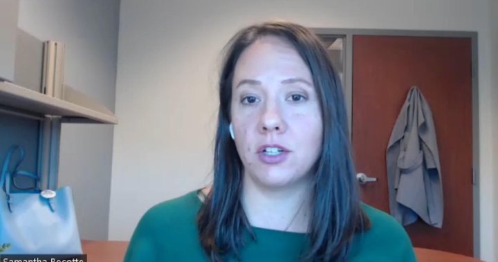 Some parents and teachers concerned as Sask. pronouns policy set to be implemented