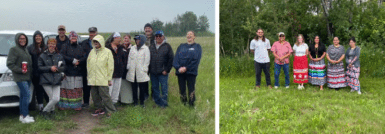 Sage harvested for patient care